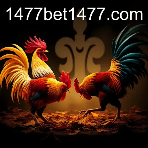 Understanding Sabong Games and 1477bet PH Login